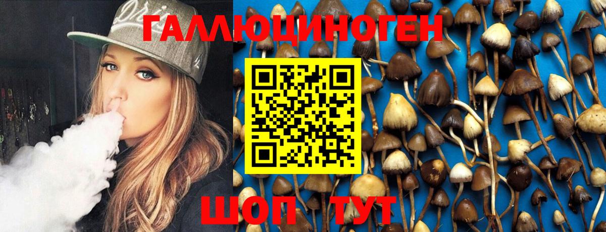 Якутск  Галлюциногенные грибы Magic Shrooms  Псилоцибиновые грибы Magic Shrooms  Вход с VPN 