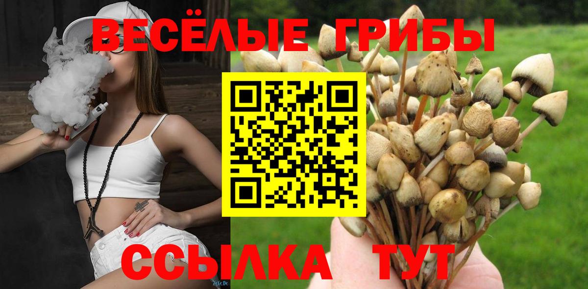 Псилоцибиновые грибы GOLDEN TEACHER Якутск